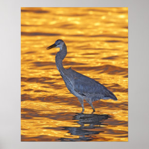 Poster USA, Florida, St. Petersburg, Fort De Soto Park.