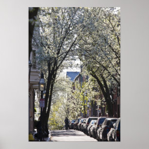 Poster USA, Massachusetts, Boston, Beacon Hill.