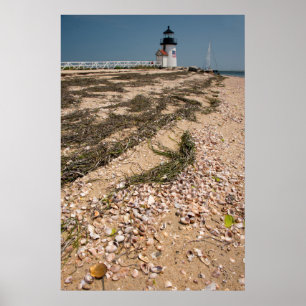 Poster USA, Massachusetts, Nantucket. Shell