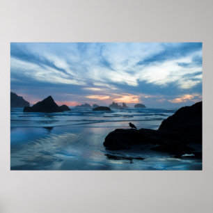 Poster USA, Oregon, Bandon Beach. Seagull on rock