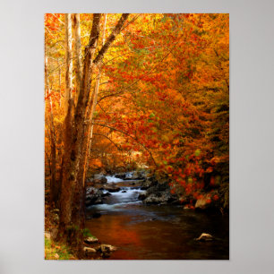 Póster USA, Tennessee. Rushing Mountain Creek 2