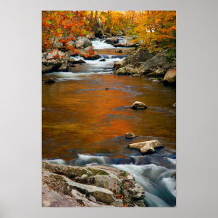 Póster USA, Tennessee. Rushing Mountain Creek 4