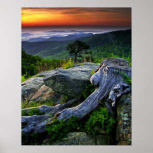 Póster USA, Virginia, Shenandoah National Park.