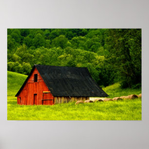 Poster USA, Virginia, Shenandoah National Park, 2