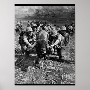 Póster Usando todos os meios disponíveis_Imagem de Guerra