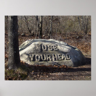 Póster Use Sua Cabeça Babson Boulder