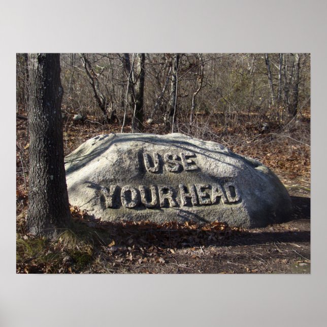 Póster Use Sua Cabeça Babson Boulder (Frente)