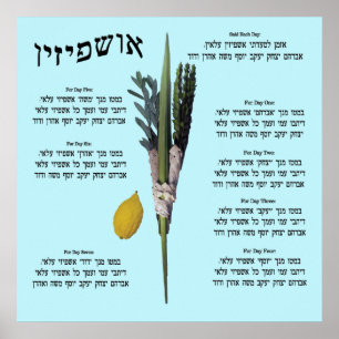 Poster Ushpizin & Arba Minim (4 Espécies)