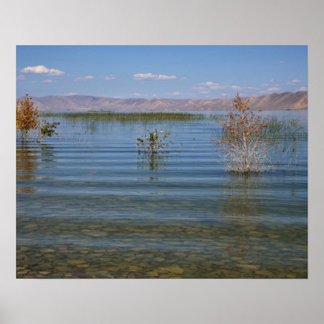 Poster UT, Bear Lake (Frente)