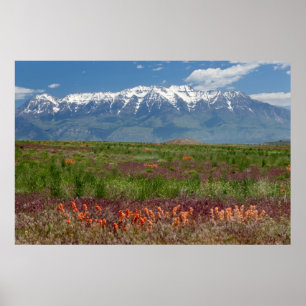 Póster Utah, EUA. O Monte Timpanogos se Eleva Acima