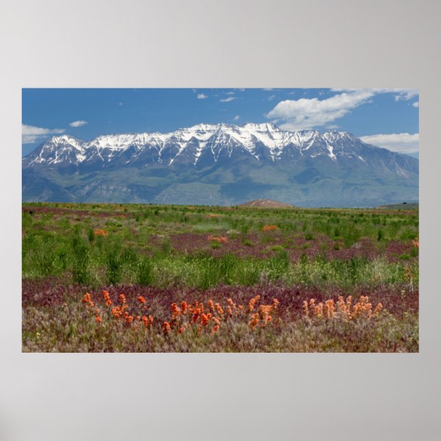 Póster Utah, EUA. O Monte Timpanogos se Eleva Acima (Frente)