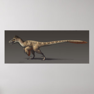 Póster Utahraptor
