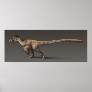 Póster Utahraptor
