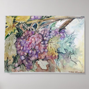 Poster Uvas