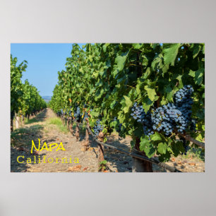 Poster Uvas