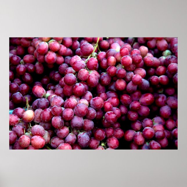 Poster Uvas de vinho tinto (Frente)