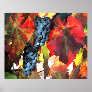 Poster Uvas e folhas do tempo de colheita