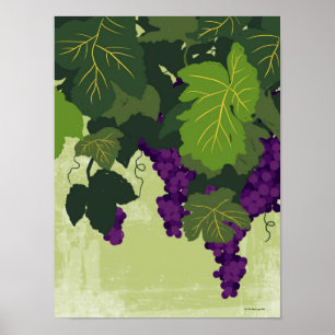 Póster Uvas na videira