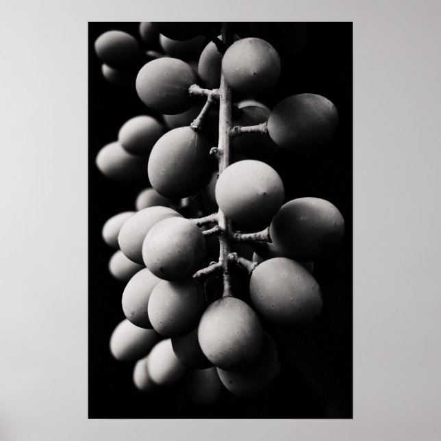 Poster uvas para um dia azedo (Frente)