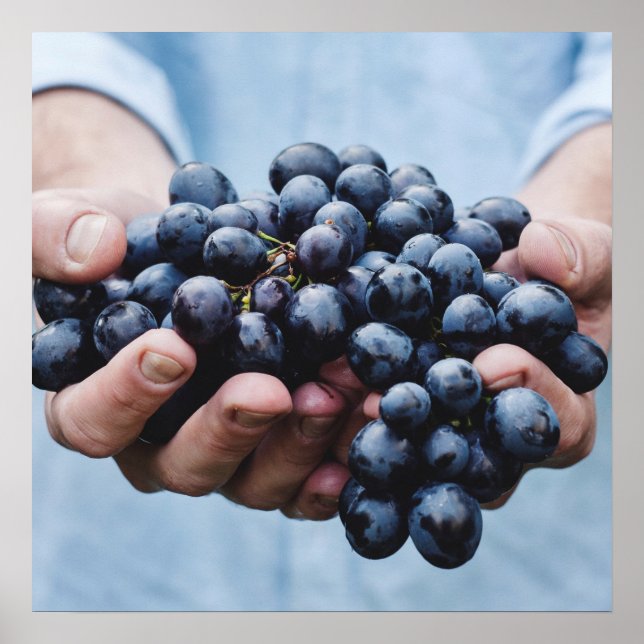 Póster Uvas/poster de cozinha de folha (Frente)