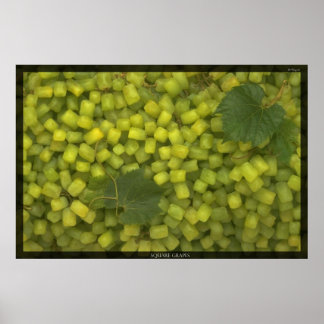 Póster Uvas Quadradas