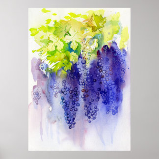 Poster Uvas Roxas Aquarela Vinícola Cozinha