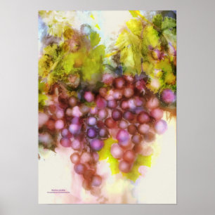 Poster uvas roxas, pintura da aguarela