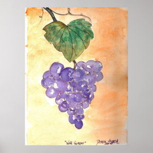 Poster Uvas selvagens