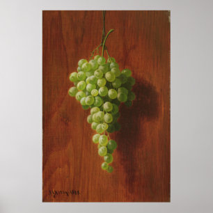 Póster Uvas verdes