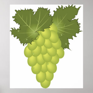 Poster Uvas verdes