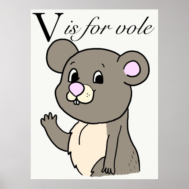 Poster V é para o vole (Frente)