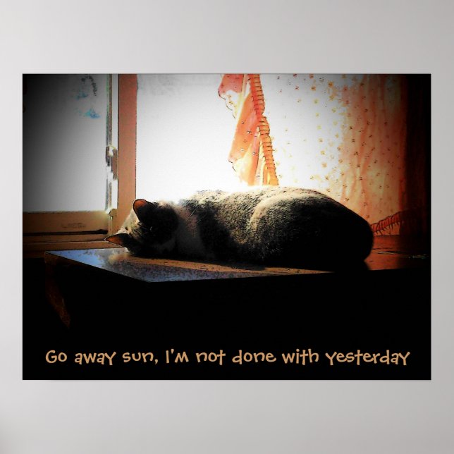Poster Vá Embora Sol - Gato Adormecido (Frente)