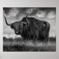 Vaca das Terras Altas Escócia Marrom Rústico monot