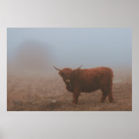 VACA DE BOVINO DE ALTA TERRA