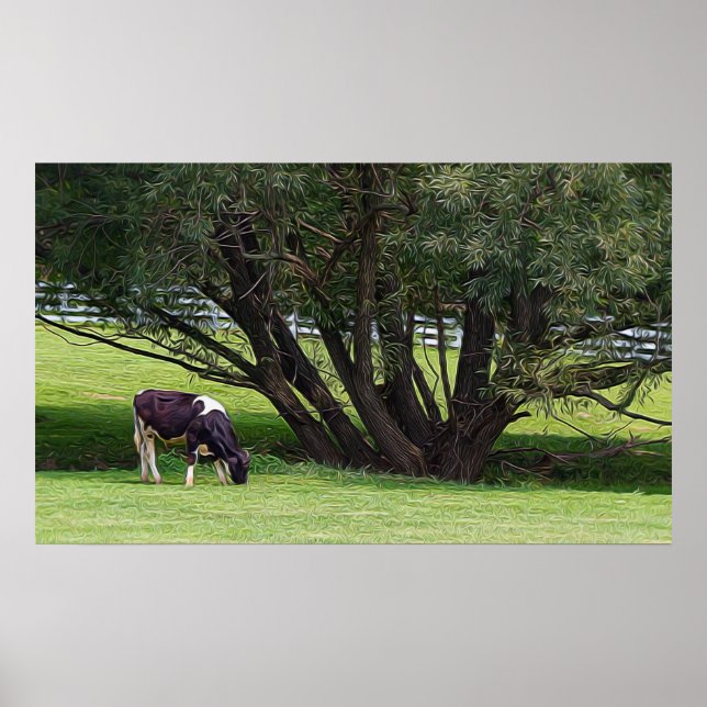 Poster Vaca do País (Frente)