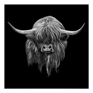 Póster Vaca escocesa das montanhas em preto e branco