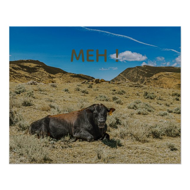 Póster Vaca fala MEH! Touro macho engraçado de boca abert (Frente)