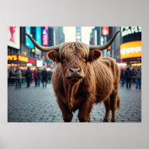 Vaca Highland na Times Square