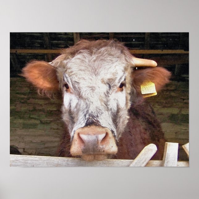 POSTER VACAS (Frente)