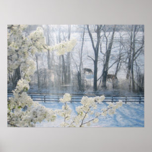 Poster Vacas em campo no inverno