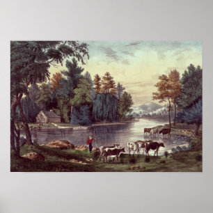 Póster Vacas na costa de um lago