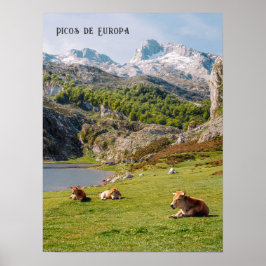 Poster Vacas pelos Lagos de Covadonga, Astúrias viagem