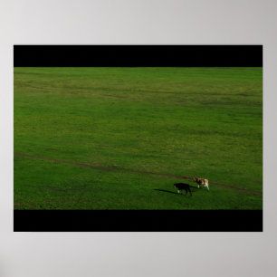 Póster Vacas sobre Pastagem Panorâmica