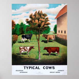 Póster Vacas típicas