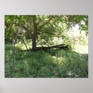 Póster Vagão Esquecido