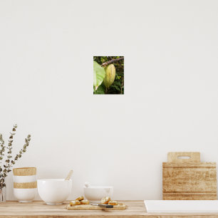 Poster vagem de cacau