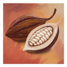 Vagem de Cacau