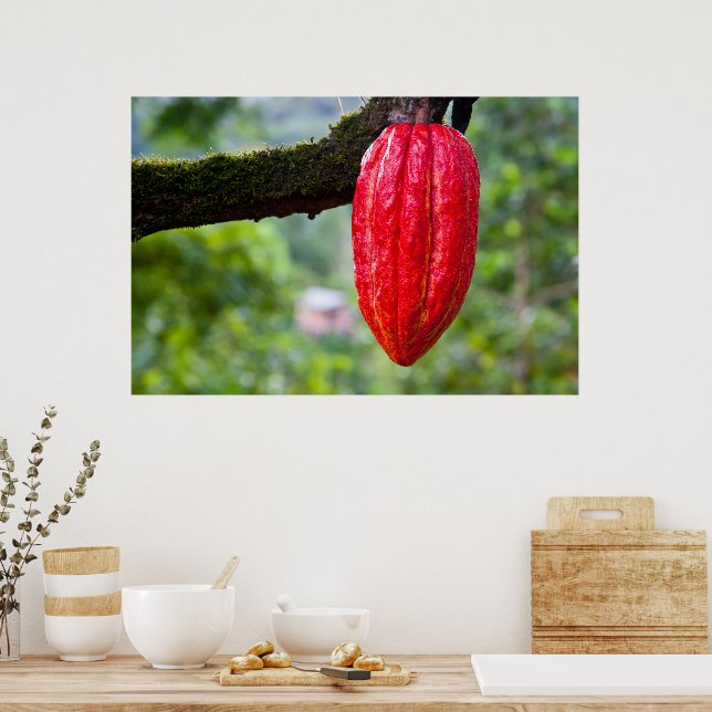 Poster vagem de cacau vermelha (Cozinha)