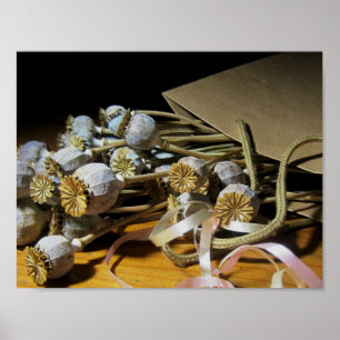 Póster Vagens secados da papoila da flor