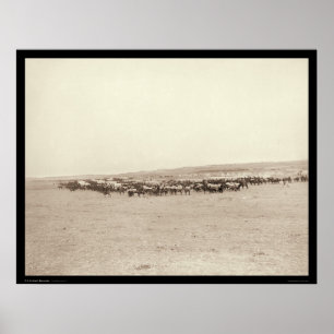 Poster Vagões da fonte & mulas SD 1887 do bloco